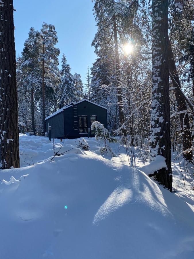 Villa Tammikon Tupa à Tuusula Extérieur photo